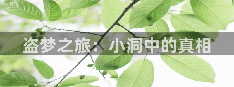 age动漫官网老版本：盗梦之旅：小洞中的真相