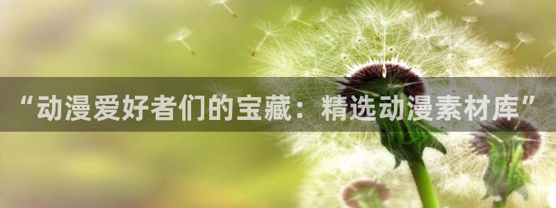 age动漫官方网站：“动漫爱好者们的宝藏：精选动漫素材库”