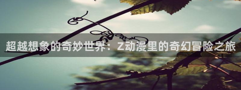 age动漫》：超越想象的奇妙世界：Z动漫里的奇幻冒险之旅