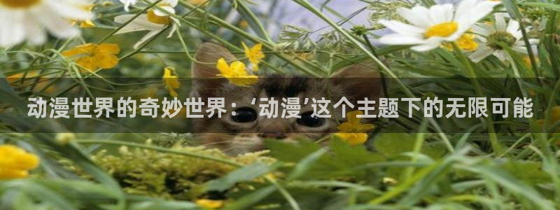 age动漫免费看：动漫世界的奇妙世界：‘动漫’这个主题下的无限可能