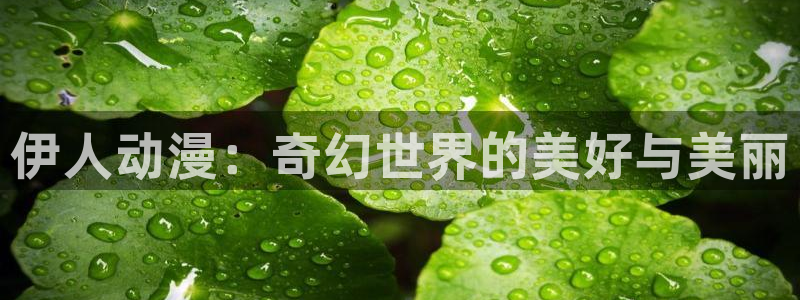 age动漫最新网址：伊人动漫：奇幻世界的美好与美丽