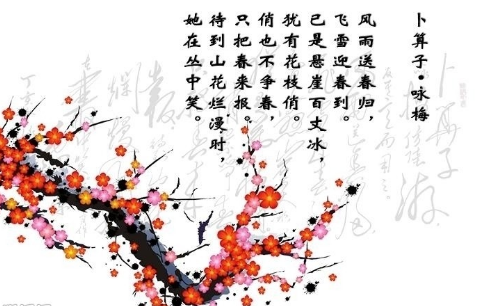 鱿鱼游戏第一季全集播放完整版_鱿鱼游戏_鱿鱼游戏第二季