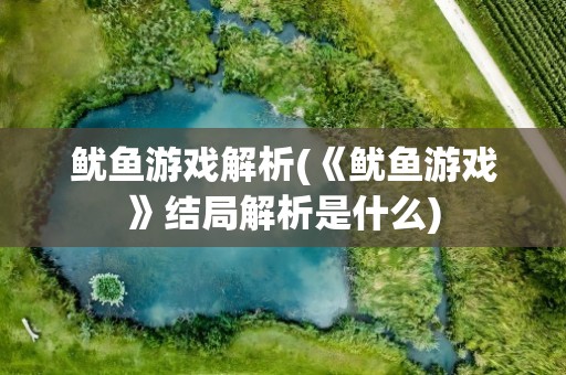 鱿鱼游戏解析(《鱿鱼游戏》结局解析是什么)