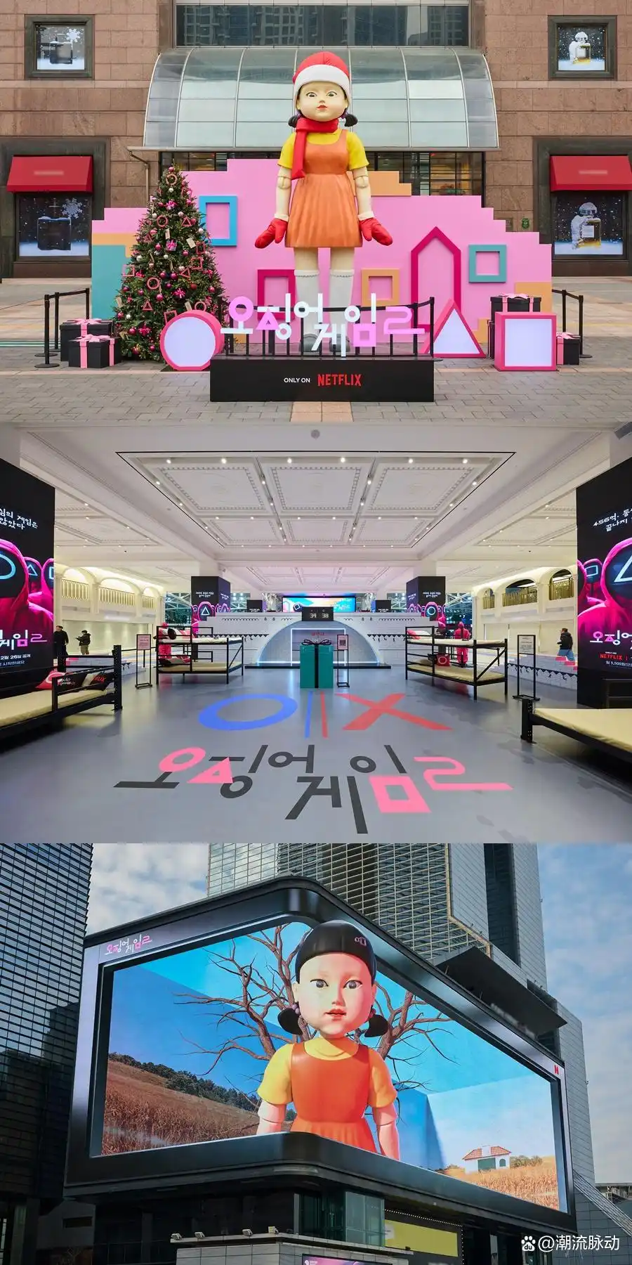 鱿鱼游戏2_鱿鱼游戏2_鱿鱼游戏2