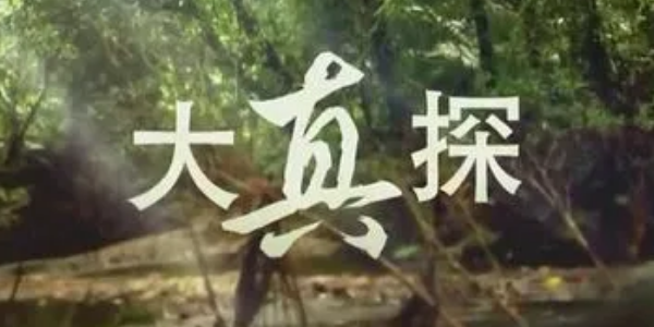 大真探为什么被禁播